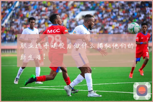 职业选手退役后做什么揭秘他们的新生活!
