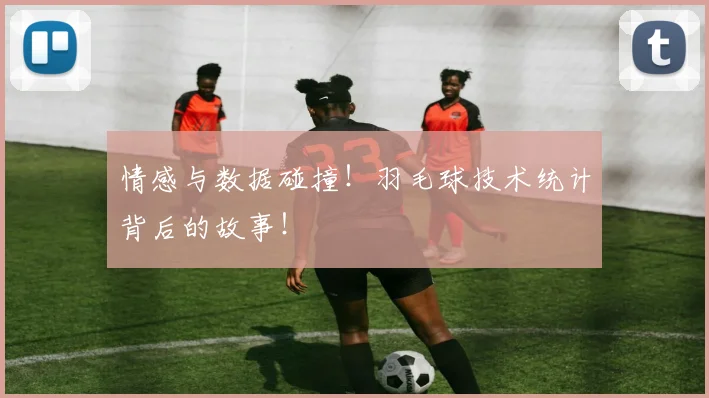 情感与数据碰撞！羽毛球技术统计背后的故事！