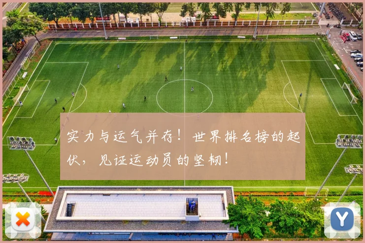 实力与运气并存！世界排名榜的起伏，见证运动员的坚韧！