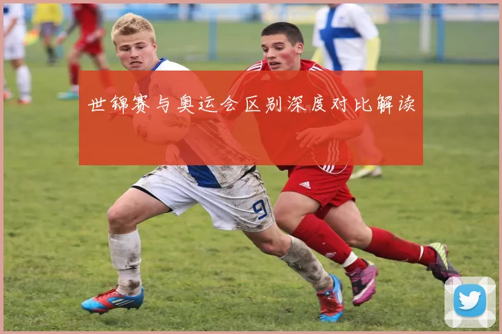 世锦赛与奥运会区别深度对比解读