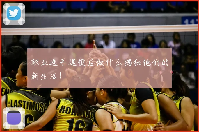 职业选手退役后做什么揭秘他们的新生活！