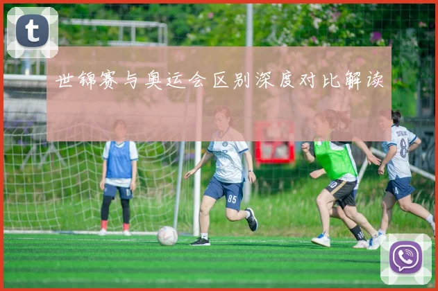 世锦赛与奥运会区别深度对比解读